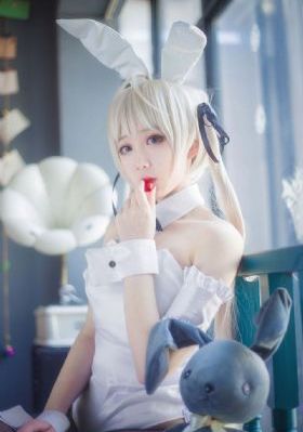 真心英雄电视剧免费观看完整版_高清高清视频观看